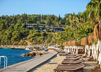 Pine Bay Holiday Resort ligbedden bij het strand