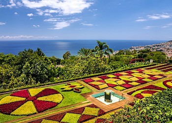 Madeira Portugal Botanische tuinen