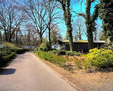 Droompark Hooge Veluwe tuin