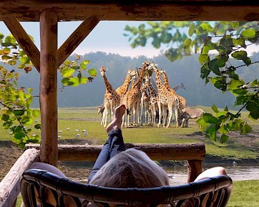 Safari Resort Beekse Bergen uitzicht