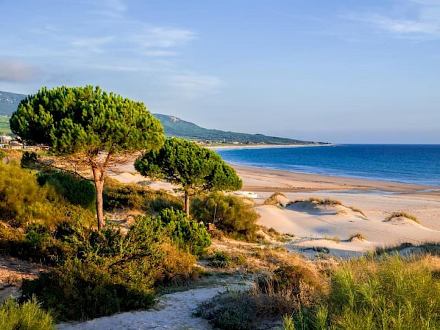 Beach of Bolonia Tarifa Spanje