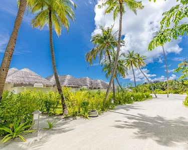 TUI BLUE Olhuveli Romance Malediven tuin