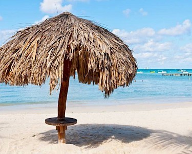 iets Uitstekend Gehoorzaam Goedkoop naar Bonaire | TravelHunter