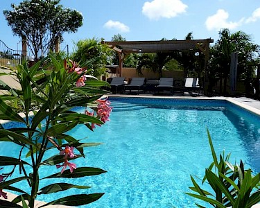 Villa Topzicht Appartementen zwembad