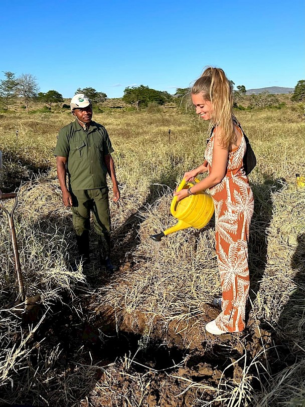 Boom planten Taita Hills Wildlife Sanctuary Kenia