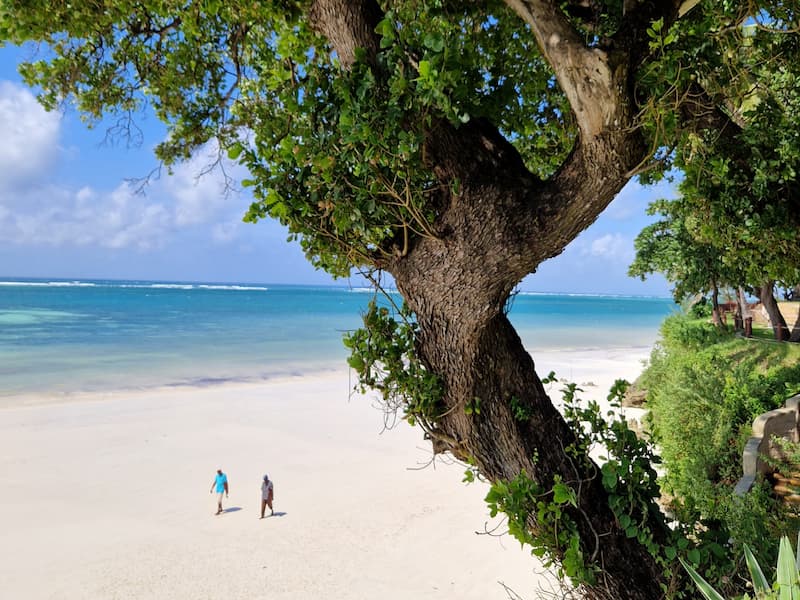 Boom langs het strand bij Baobab Beach Resort in Kenia